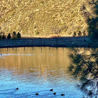 Kids / Family Athletic Development Adventure Camp - Rancho Grande Ojai CA 6/10/26 - 6/12/26 - 3 Days
