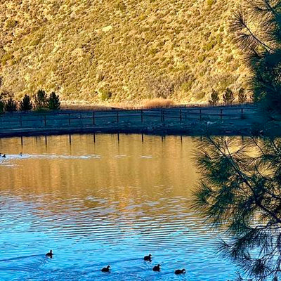 Kids / Family Athletic Development Adventure Camp - Rancho Grande Ojai CA 6/10/26 - 6/12/26 - 3 Days